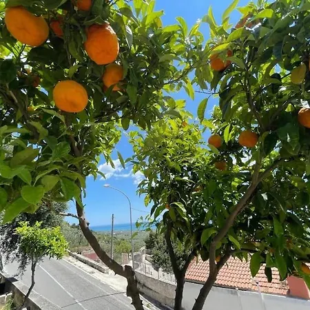 Enzo * Monte SantʼAngelo